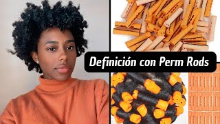 DEFINICIÓN con PERM RODS en cabello 4C | Sueyaile Toledo