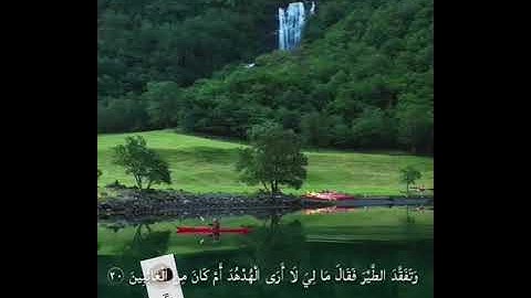 وتفقد الطير، من سورة النمل ـ سليمان الغسيني