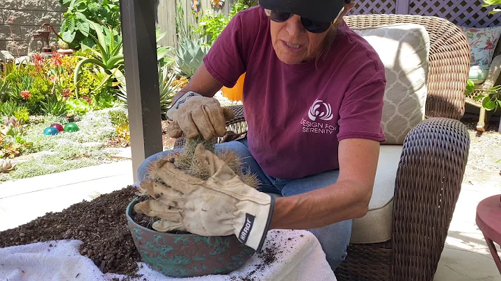 Planting Up Another Susan Aach Pot with a Unique C...