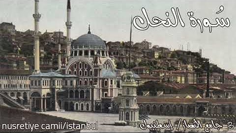 سورة النحل بصوت الشيخ عبد الودود بن حنيف