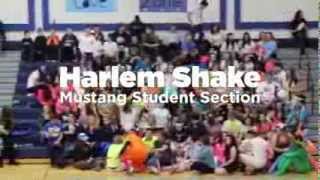 Meridian Mustangs - Harlem Shake