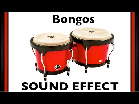 bongos-sample-|-sound-effect-|-loops-|-hd