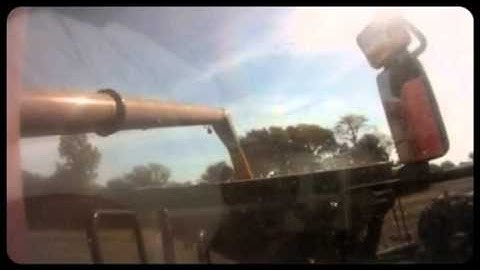 Case IH 8230 Combine unloading on the go