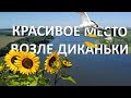 Место для отдыха недалеко от Полтавы | Диканька | с. Трояны