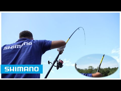 Nuova Shimano BeastMaster
