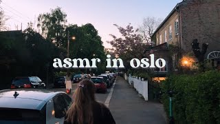 ASMR in the Streets of Oslo 🌙 With Friends ✨