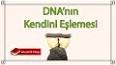 DNA Replikasyonu ile ilgili video