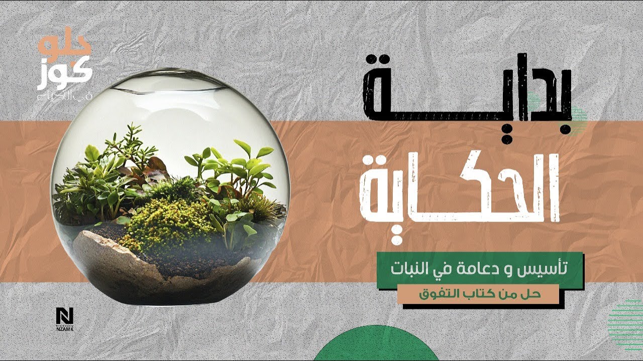 حل على الدعامة فى النبات من كتاب التفوق😍🔥