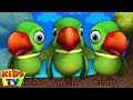 Main Tota Main Tota, मैं तोता मैं तोता, Hindi Nursery Rhymes and Cartoon Preschool Songs