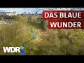 Die Emscher &ndash; Von der Kloake zum Naturparadies | Heimatflimmern | WDR