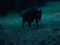 PREDATOR Ultra Slowed Ôÿá Å PREDATOR Ultra Slowed Ôÿá Å