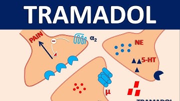 Tramadol - Mechanism, side effects, precautions and uses