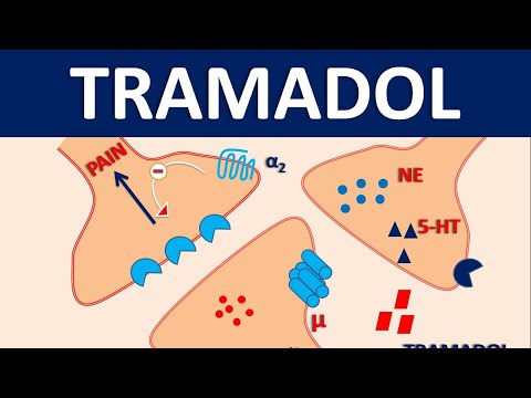 Tramadol - Mechanism, side effects, precautions and uses