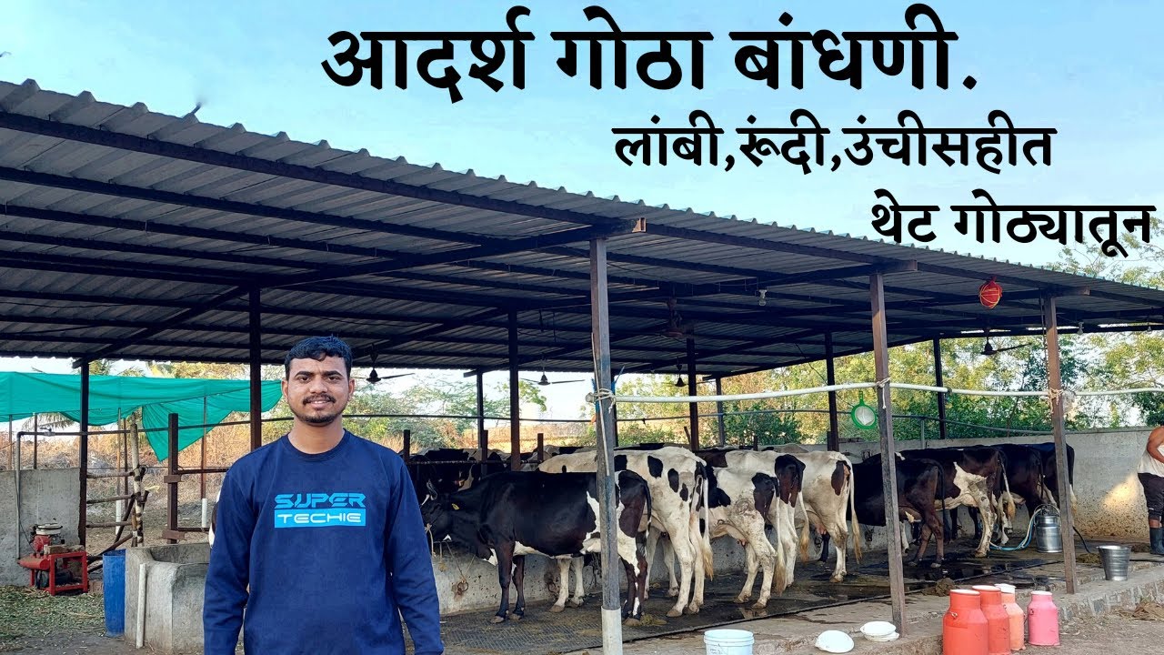 आदर्श गोठा कसा बांधवा l लांबी,रूंदी,उंचीसहीत मापे थेट गोठ्यातुन 