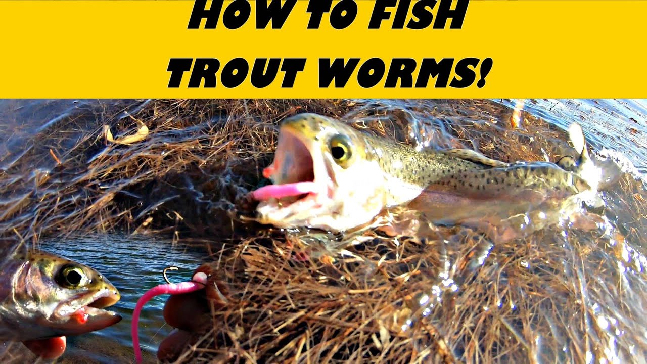 HOW TO Fish TROUT WORMS - Fake Plastic Worms! 