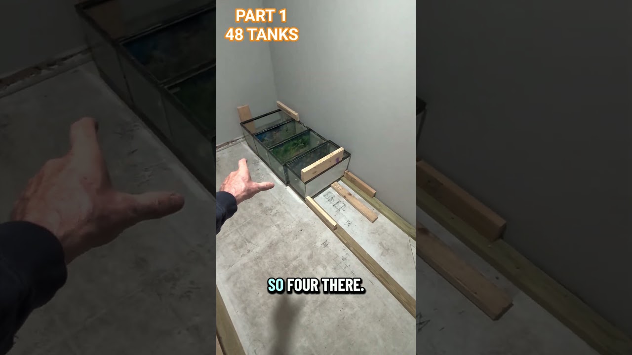 48 AQUARIUM BUILD OUT **PART 1** #tank #fish #aquarium #saltwater