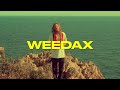 WEEDAX - JAH NEVER FAIL I (VISUALIZER)