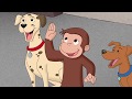Curious George 🐵 Where's the Firedog? 🐵Kids Cartoon 🐵Kids Movies 🐵Videos for Kids