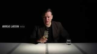 Mayne d'Olivet - 2010 - Bordeaux