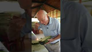 Preparamos Un Jugo De Guanábana Recién Cultivada En Nuestro Huerto