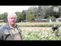 Pflege-Tipps zum Rosen schneiden