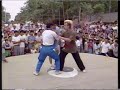 Tai Chi - Vollendete Kampfkunst in China, mit GM Chen Xiaowang, M Shen Xijing und M Jan Silberstorff