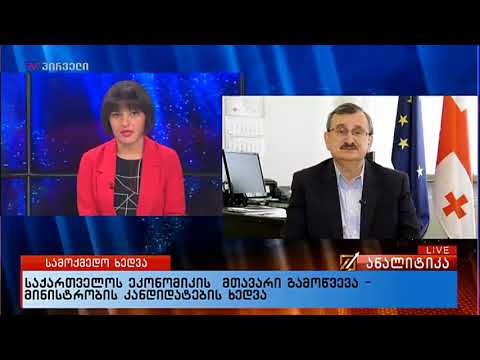 რომან გოცირიძე ჩართვით გადაცემა ანალიტიკაში