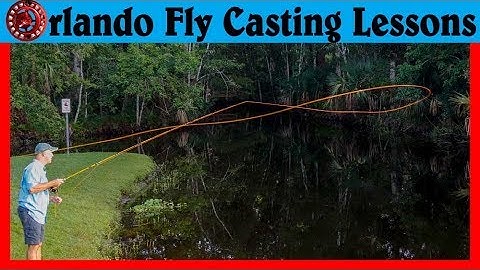 Fly Casting Errors - Closed Loops