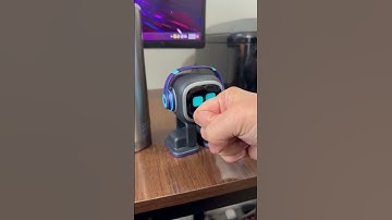 EMO Pet Reaction “Blocking” his way ✌🏼😅 The cute little Kick! 🤣