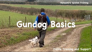 Mastering Basic Lefts and Rights in Gundog Training