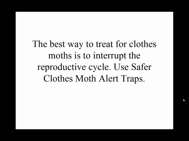 Safer Brand Clothes Moth Alert Trap