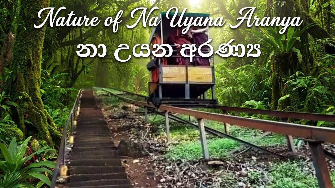 නිසල වූ නා උයන ආරණ්‍ය සේනාසනය🍃💫 