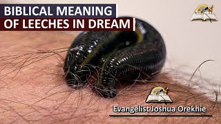 Biblical Meaning of Leeches in Dreams - Symbolism and Interpretation