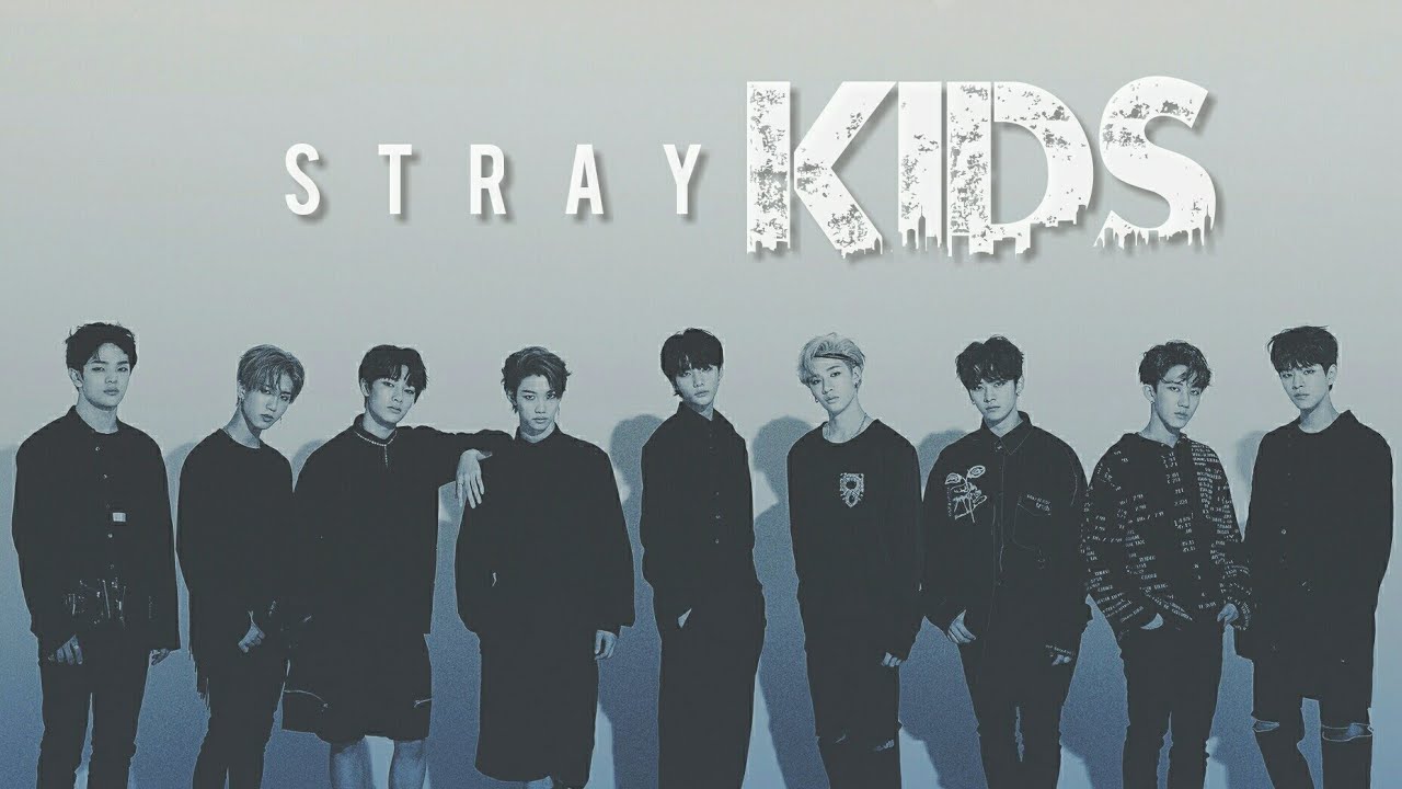 Картинки stray kids черно белые