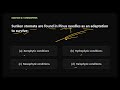 Gymnosperms MCQs, Part 3,Detailed Explaination