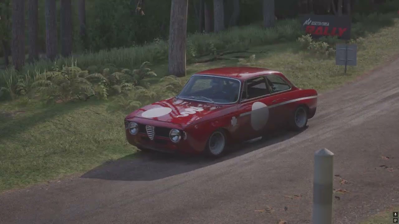 Assetto Corsa Rally Alfa Romeo TV View