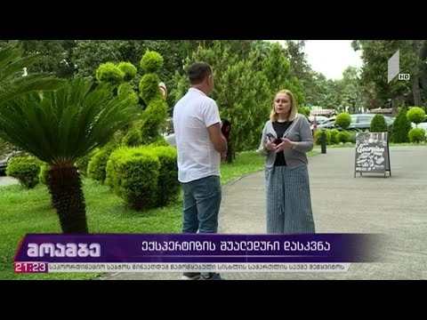 ექსპერტიზის შუალედური დასკვნა