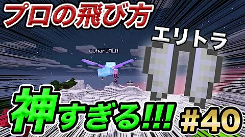 スイッチマイクラエリトラ花火飛び方