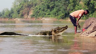 Crocodile Attacks During Fishing Expedition | Giant Nile Crocodile Attack Man Fun made Movie
