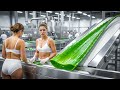 Aloe Vera Juice Factory Exposed – From Leaf to Bottle