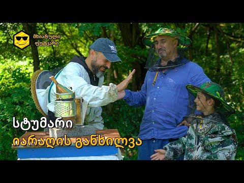 სტუმარი საფუტკრეში – იარაღის განხილვა @IaragisGanxilva