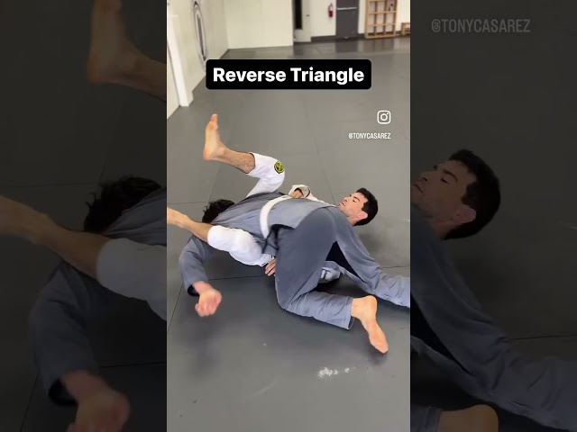 Top 10 BJJ Triangles Every Beginner Should Know #bjj #grappling #mma