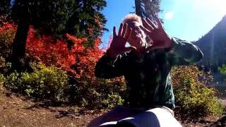 Vlog / 7 Secret Places on the Kitsap Peninsula [NATURE]  (improved audio)