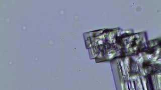 NaCl KCl close1 078 50fps