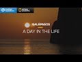 Galpagos a day in the life  lindblad expeditionsnational geographic
