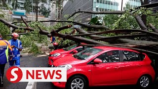 Storm uproots trees in KL, several vehicles and house damaged Resimi