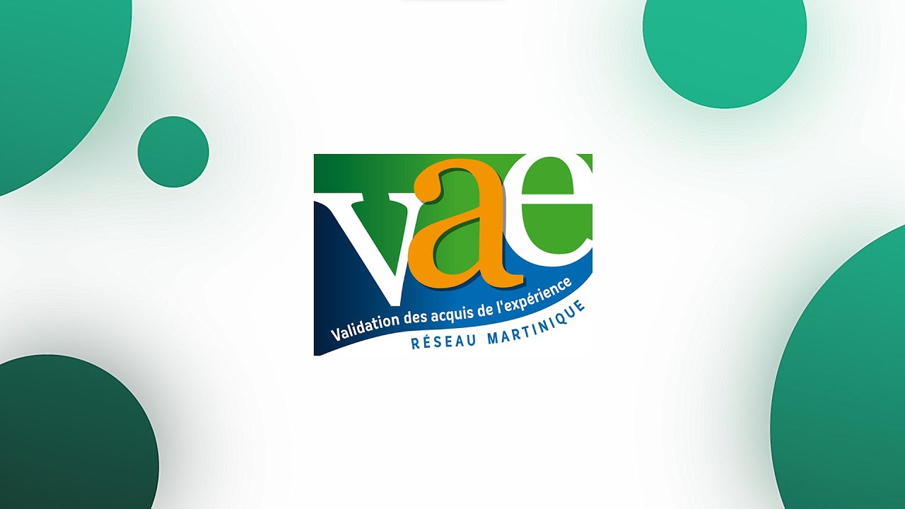 elfbar nachfüll pod läuft aus Tout savoir sur la VAE : Validation des Acquis de l'Expérience