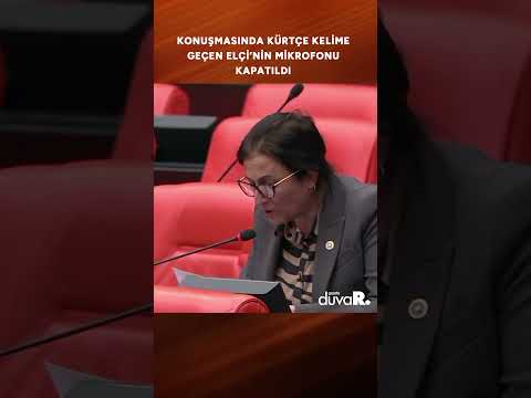 Konuşmasında Kürtçe kelime geçen Türkan Elçi’nin mikrofonu kapatıldı #shorts