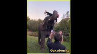 Lil Pump Gets Had Up By Elephant