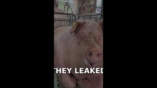 Famous [Humor] EXPOSED: My Private Life LEAKED ONLINE! 😱🔒 | RuViral Wealth